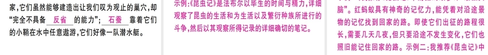 （河北专用）八年级语文上册 专题六 名著导读习题课件 新人教版-新人教版初中八年级上册语文课件