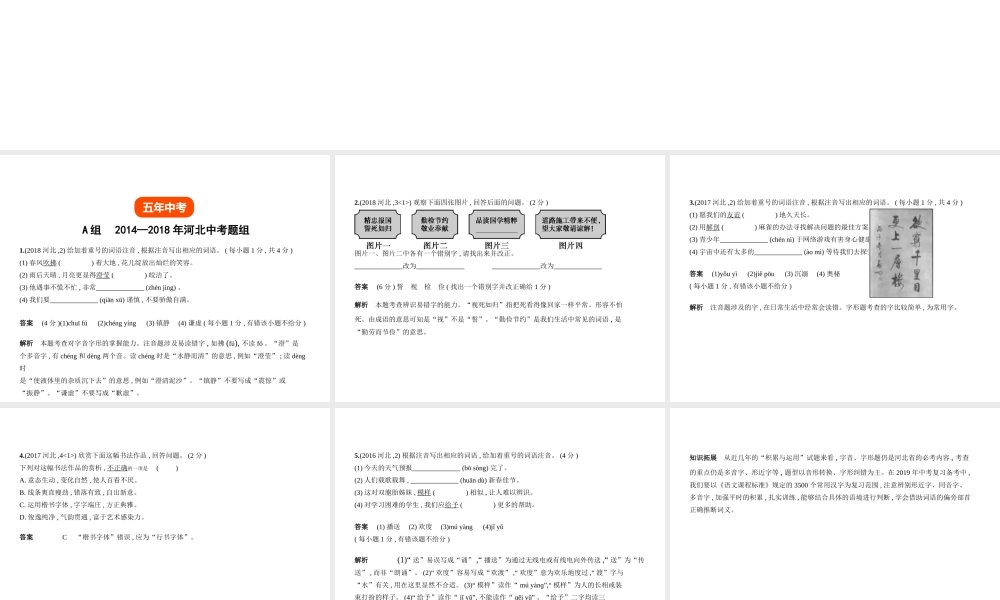 （河北专版）中考语文总复习 第一部分 基础知识积累与运用 专题一 识字与写字（试题部分）课件-人教版初中九年级全册语文课件