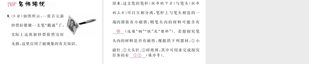 （黔西南地区）秋九年级物理全册 第20章 电与磁 第1节 磁现象 磁场 第1课时 磁现象习题课件 （新版）新人教版-（新版）新人教版初中九年级全册物理课件