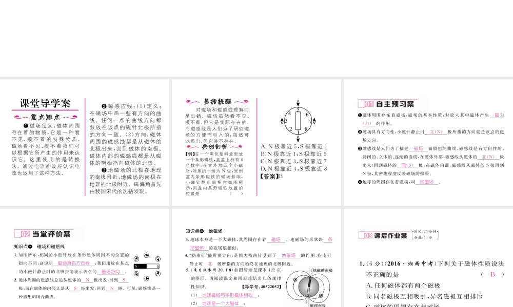 （黔西南地区）秋九年级物理全册 第20章 电与磁 第1节 磁现象 磁场 第2课时 磁场习题课件 （新版）新人教版-（新版）新人教版初中九年级全册物理课件