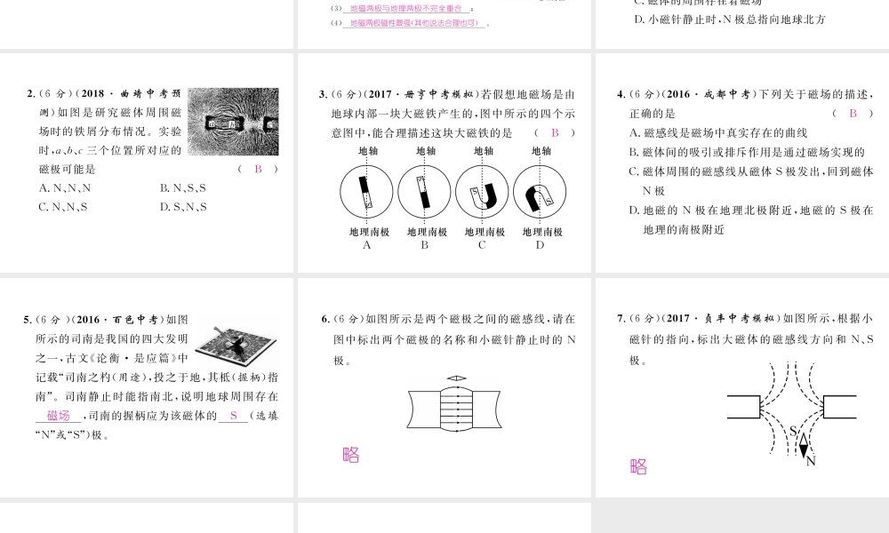 （黔西南地区）秋九年级物理全册 第20章 电与磁 第1节 磁现象 磁场 第2课时 磁场习题课件 （新版）新人教版-（新版）新人教版初中九年级全册物理课件
