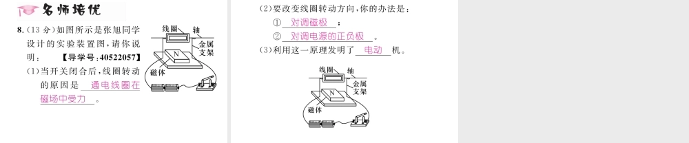 （黔西南地区）秋九年级物理全册 第20章 电与磁 第4节 电动机习题课件 （新版）新人教版-（新版）新人教版初中九年级全册物理课件
