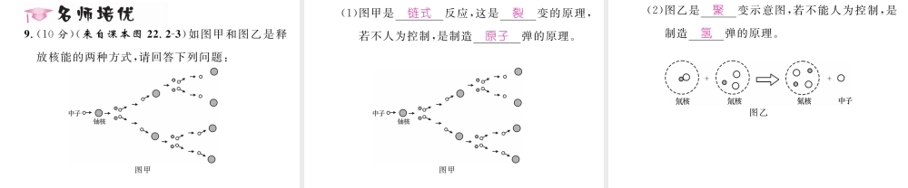 （黔西南地区）秋九年级物理全册 第22章 能源与可持续发展 第2节 核能习题课件 （新版）新人教版-（新版）新人教版初中九年级全册物理课件
