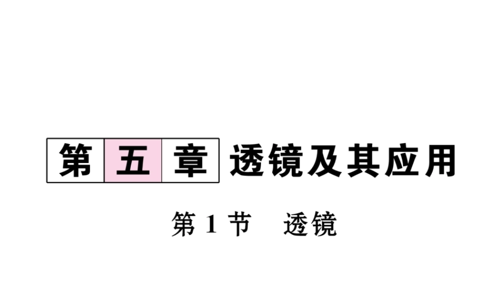 （黔西南地区）八年级物理上册 5.1 透镜作业课件 （新版）新人教版-（新版）新人教版初中八年级上册物理课件