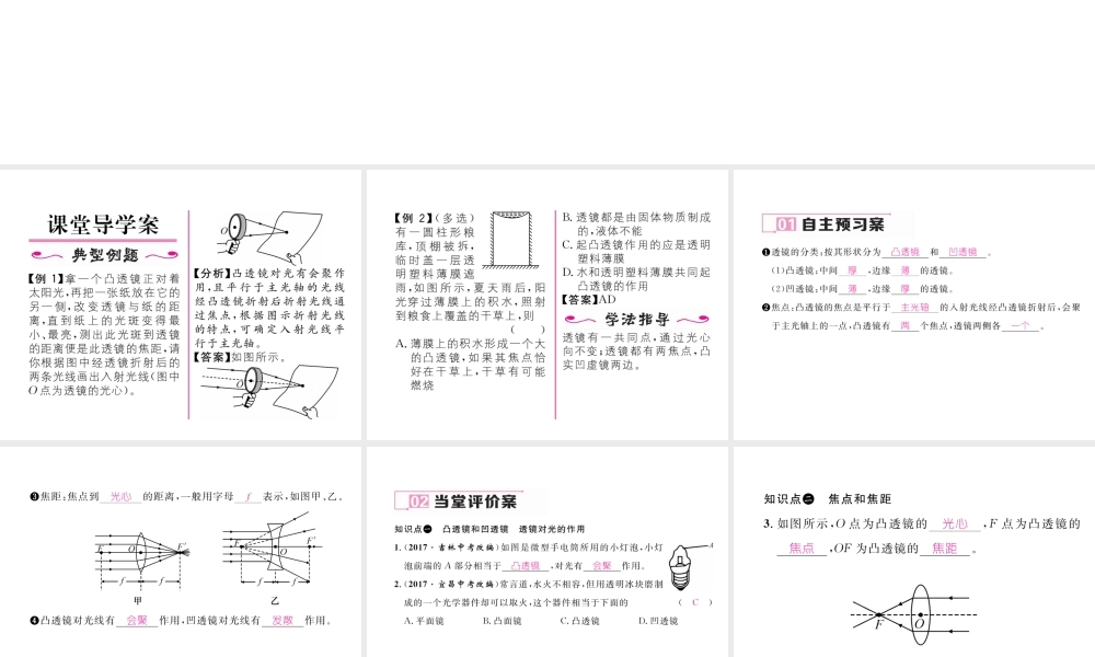 （黔西南地区）八年级物理上册 5.1 透镜作业课件 （新版）新人教版-（新版）新人教版初中八年级上册物理课件