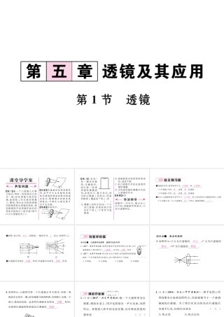 （黔西南地区）八年级物理上册 5.1 透镜作业课件 （新版）新人教版-（新版）新人教版初中八年级上册物理课件