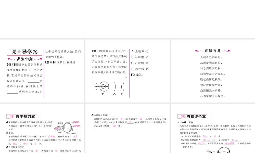 （黔西南地区）八年级物理上册 5.4 眼睛和眼镜作业课件 （新版）新人教版-（新版）新人教版初中八年级上册物理课件