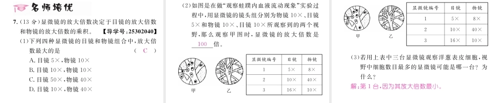 （黔西南地区）八年级物理上册 5.5 显微镜和望远镜作业课件 （新版）新人教版-（新版）新人教版初中八年级上册物理课件