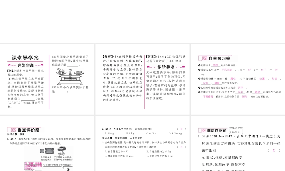 （黔西南地区）八年级物理上册 6.1 质量作业课件 （新版）新人教版-（新版）新人教版初中八年级上册物理课件