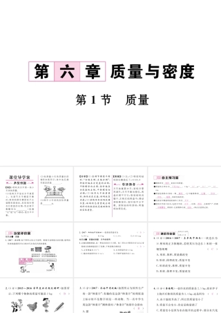 （黔西南地区）八年级物理上册 6.1 质量作业课件 （新版）新人教版-（新版）新人教版初中八年级上册物理课件