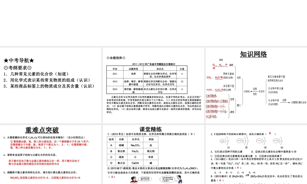 （高分突破 考前最后冲刺）2014届中考化学 考点3 化学式和化合价课件（中考导航+命题趋势+重难点突破）