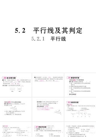 （黔西南专版）春七年级数学下册 第5章 相交线与平行线 5.2.1 平行线作业课件 （新版）新人教版-（新版）新人教版初中七年级下册数学课件