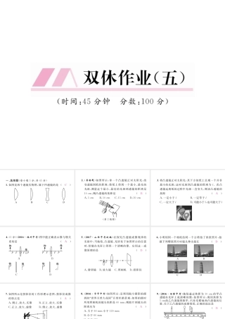 （黔西南地区）八年级物理上册 双休作业（五）课件 （新版）新人教版-（新版）新人教版初中八年级上册物理课件