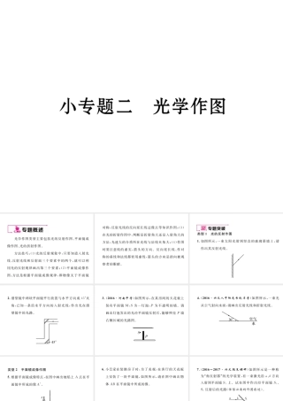 （黔西南地区）八年级物理上册 小专题二 光学作图作业课件 （新版）新人教版-（新版）新人教版初中八年级上册物理课件