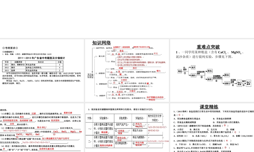 （高分突破 考前最后冲刺）2014届中考化学 考点20 常见盐课件（中考导航+命题趋势+重难点突破）