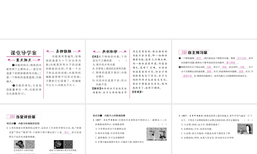 （黔西南地区）秋九年级物理全册 第13章 内能 第2节 内能 第1课时 内能的概念习题课件 （新版）新人教版-（新版）新人教版初中九年级全册物理课件