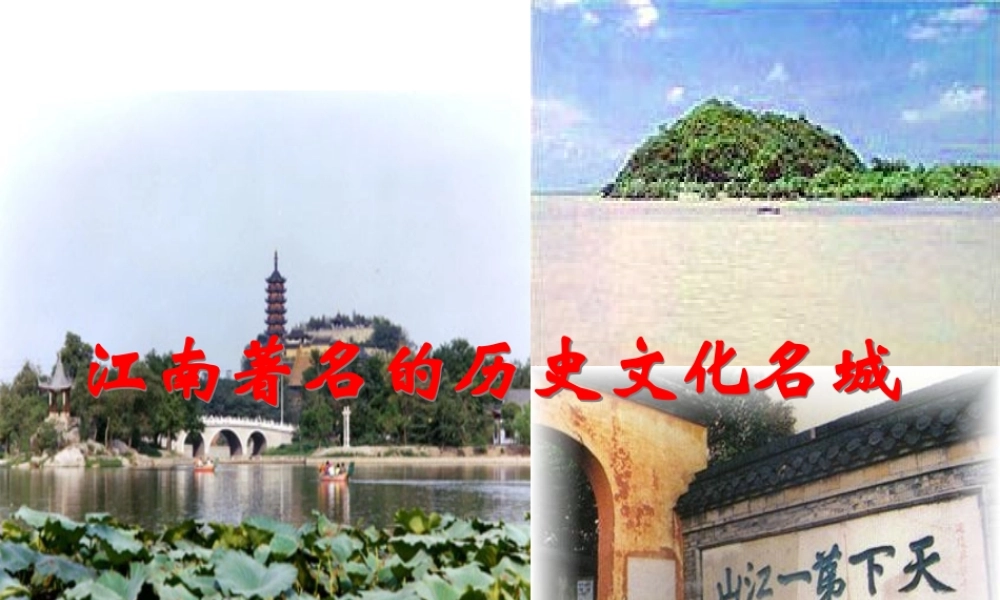 （骨干教师竞赛作品）初中化学 溶液的酸碱性课件