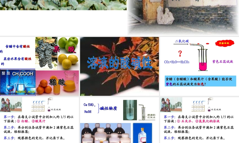 （骨干教师竞赛作品）初中化学 溶液的酸碱性课件