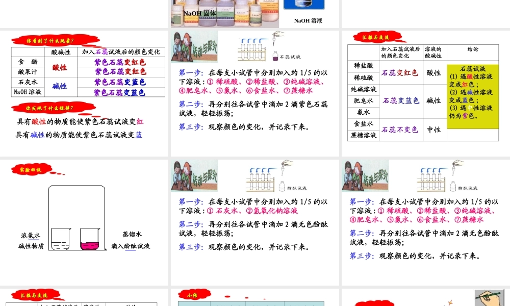 （骨干教师竞赛作品）初中化学 溶液的酸碱性课件