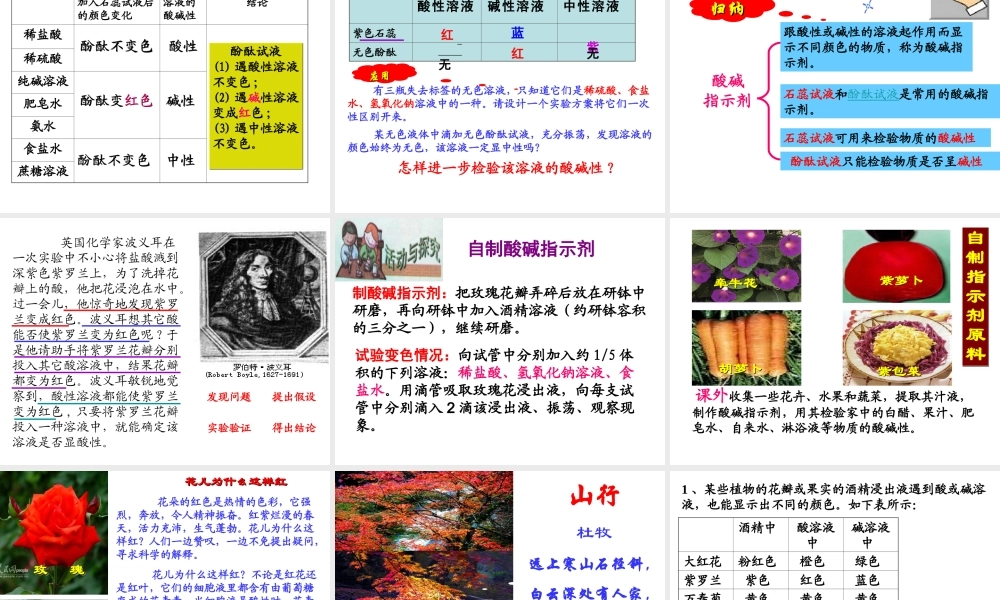 （骨干教师竞赛作品）初中化学 溶液的酸碱性课件