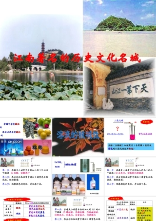 （骨干教师竞赛作品）初中化学 溶液的酸碱性课件