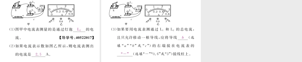 （黔西南地区）秋九年级物理全册 第15章 电流和电路 第4节 电流的测量习题课件 （新版）新人教版-（新版）新人教版初中九年级全册物理课件