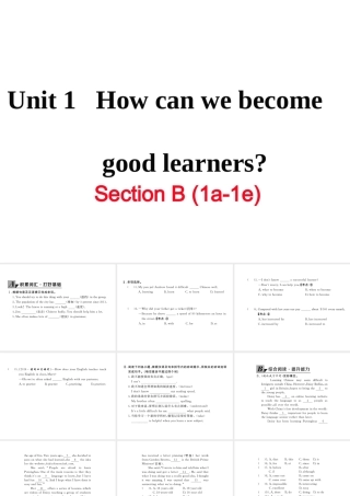 （黄冈专用）秋九年级英语全册 Unit 1 How can we become good learners Section B（1a-1e）习题讲评课件 （新版）人教新目标版-（新版）人教新目标版初中九年级全册英语课件