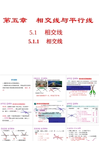 （黔西南专版）七年级数学下册 5.1 相交线 5.1.1 相交线课件 （新版）新人教版-（新版）新人教版初中七年级下册数学课件