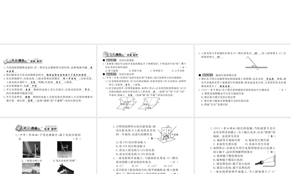 （黔东南专版）八年级物理上册 4.2 光的反射习题课件 （新版）新人教版-（新版）新人教版初中八年级上册物理课件