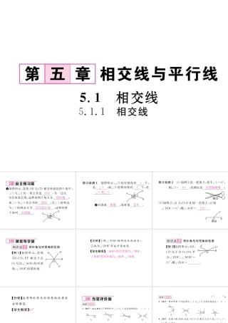 （黔西南专级数学下册 第5章 相交线与平行线 5.1.1 相交线作业课件 （新版）新人教版-（新版）新人教级下册数学课件