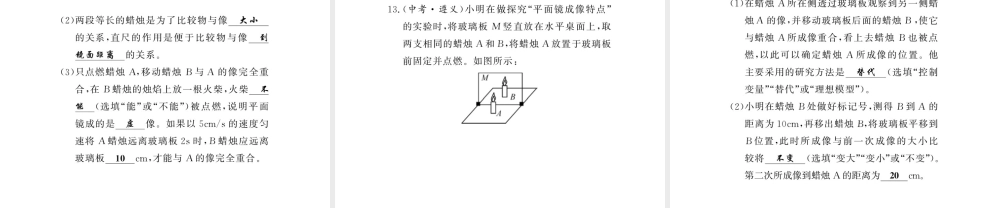 （黔东南专版）八年级物理上册 期末复习四 光现象习题课件 （新版）新人教版-（新版）新人教版初中八年级上册物理课件