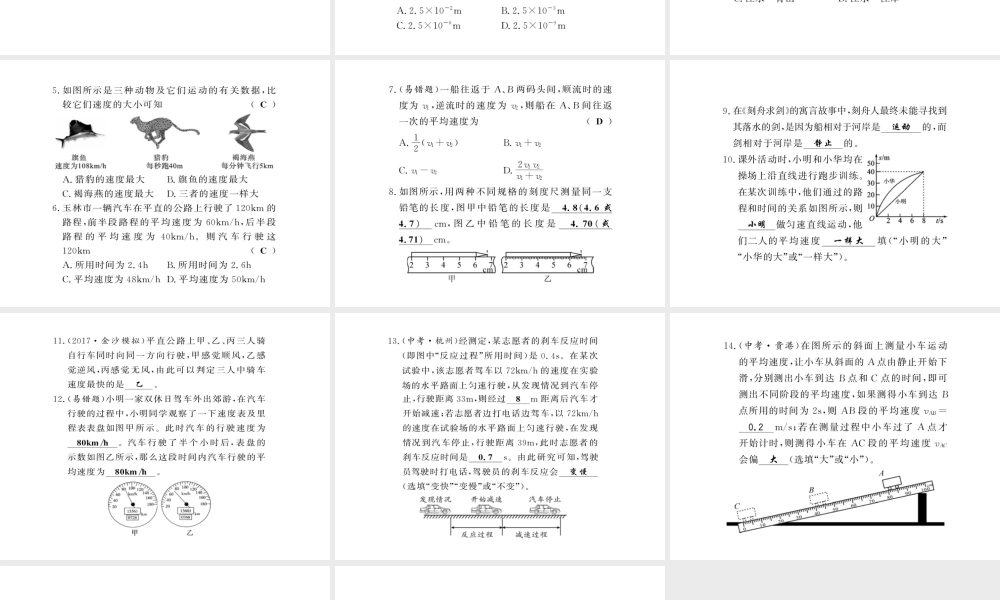 （黔东南专版）八年级物理上册 期末复习一 机械运动习题课件 （新版）新人教版-（新版）新人教版初中八年级上册物理课件