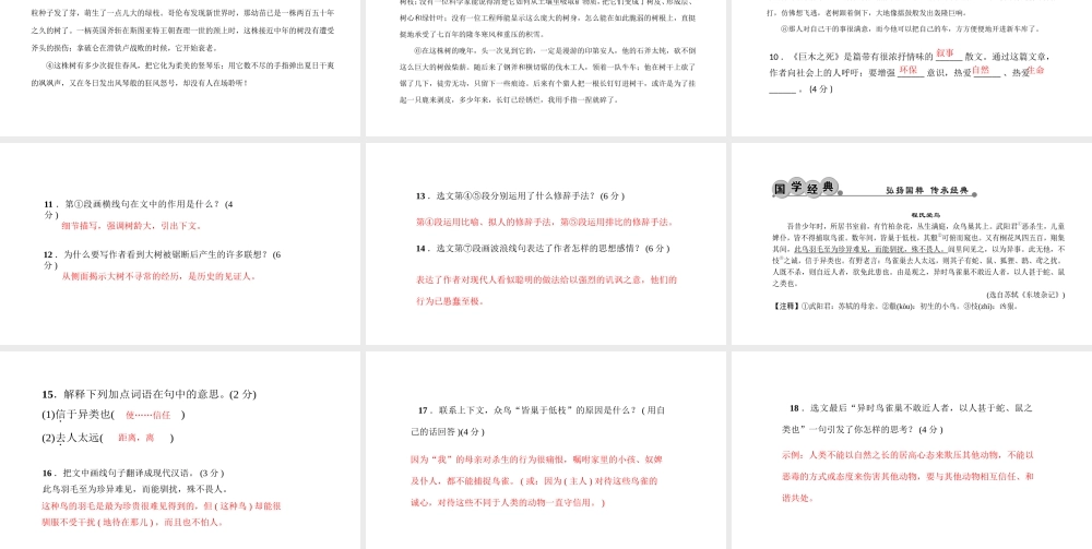 （黔西南专版）秋九年级语文下册 第三单元 10 那树课件 新人教版-新人教版初中九年级下册语文课件