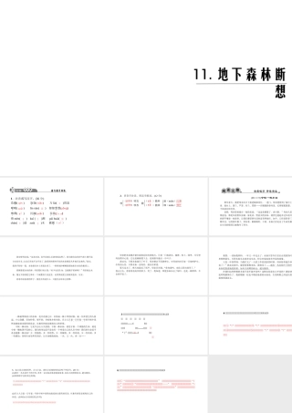 （黔西南专版）秋九年级语文下册 第三单元 11 地下森林断想课件 新人教版-新人教版初中九年级下册语文课件