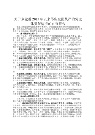 关于乡党委2025年以来落实全面从严治党主体责任情况的自查报告