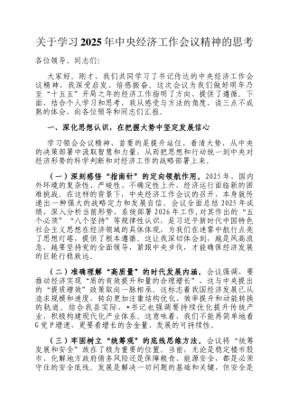 关于学习2025年中央经济工作会议精神的思考