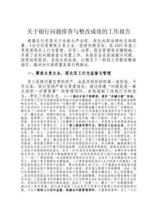 关于银行问题排查与整改成效的工作报告