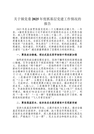 关于镇党委2025年度抓基层党建工作情况的报告