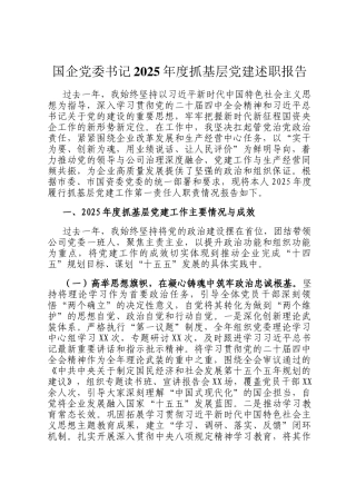 国企党委书记2025年度抓基层党建述职报告