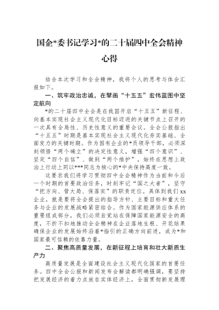 国企党委书记学习党的二十届四中全会精神心得