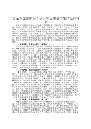 国企党支部抓好党建引领促进安全生产经验材料