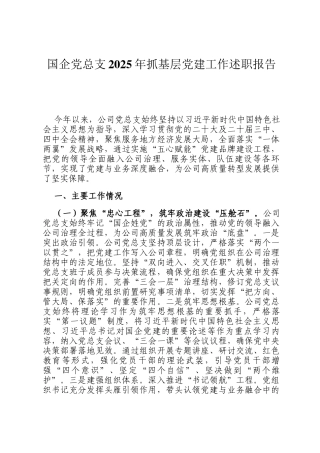 国企党总支2025年抓基层党建工作述职报告