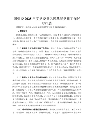 国资委2025年度党委书记抓基层党建工作述职报告