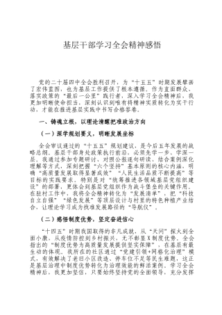 基层干部学习全会精神感悟