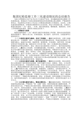 集团纪检监察工作三化建设情况的总结报告