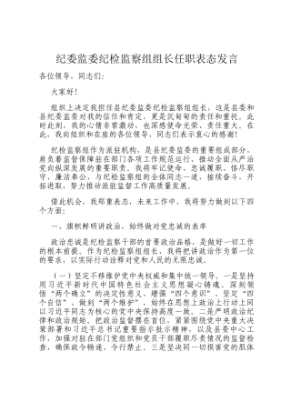 纪委监委纪检监察组组长任职表态发言