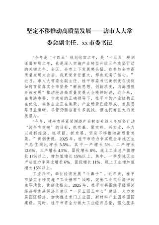 坚定不移推动高质量发展——访市人大常委会副主任、XX市委书记