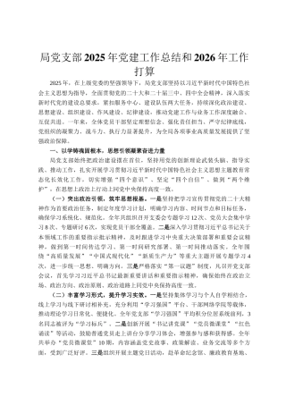 局党支部2025年党建工作总结和2026年工作打算