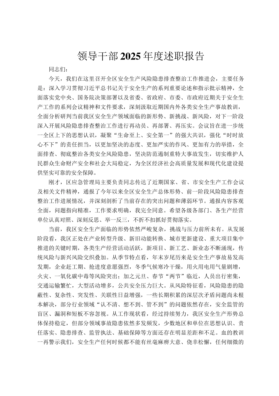 领导干部2025年度述职报告_第1页