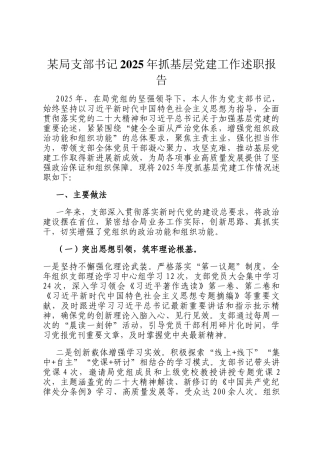 某局支部书记2025年抓基层党建工作述职报告